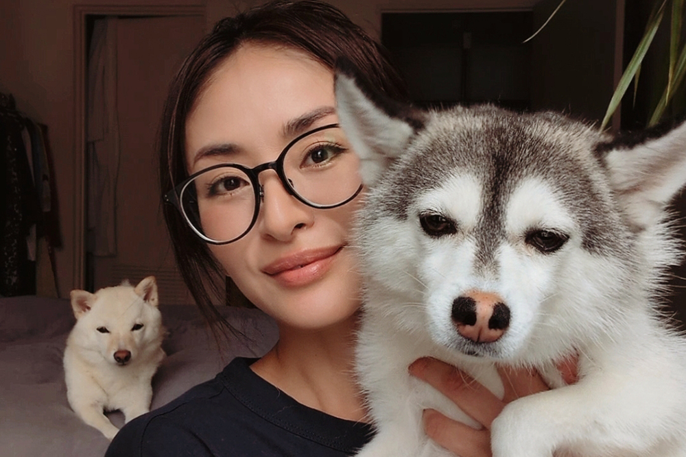 クリス-ウェブ佳子さんと、愛犬のルー（柴犬）とフェイ（ポンスキー）。